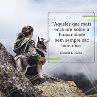 ❤️ #pets #ahazou #maedepet