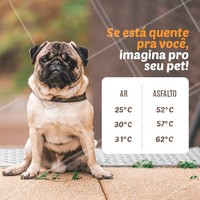 Olha a dica: caminhe com seu pet apenas no horário da manhã (antes das 10h) e no fim da tarde (depois das 16h). É preciso ter cuidado com a patinha deles! 🐾 #sol #ahazou #calor #pets #cachorro #verao