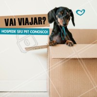 Hospedagem sem gaiolas, com espaços ao ar livre, conforto e diversão. Seu pet vai se sentir em casa! #hospedagempet #ahazou #hotelpet #hospedagemanimal #animais #pets #cachorro #gato