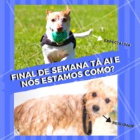 Quem mais está assim? rs Não perca tempo e agende já o banho do seu pet. Enquanto você se diverte ele fica ainda mais cheiroso com os nossos cuidados. 😍 #pet #banho #finaldesemana #ahazou