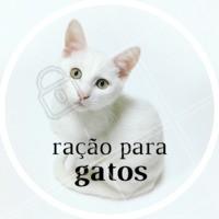 Uma ração de boa qualidade é muito importante, sirva de forma gradativa durante o dia. Outra dica são os patês com sabor especial, use como uma forma de agradá-lo. Sem esquecer é claro do leite, a sobremesa que eles adoram e não vivem sem.
#meu pet #ahazou #ração #gato