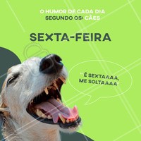 Alguém aí se identifica com o Humor de Sexta? 😁
#sextafeira #pet #ahazou #humor