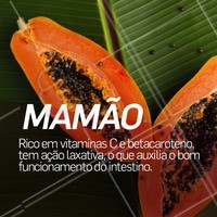 Fique de olho nos benefícios dessa fruta! #mamao #frutas #beneficios #ahazou #saude #bemestar