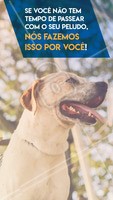 O passeio é mais do que lazer, é uma questão de saúde e bem-estar
🐶 Mais saúde mental e física
🐶 Evita a obesidade e mantém o cão em forma
🐶 Diminui a ansiedade e estresse
🐶 Promove o contato com cães e indivíduos tornando-o mais sociável
🐶 Reduz problemas comportamentais, como latir em excesso, agitação, roer móveis e objetos
#dogwalker #pet #dog #ahazou #passeios #saude #bemestar #passeadordecaes