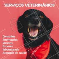 Na nossa clínica temos diversos serviços para o seu pet. Entre em contato com a gente para maiores informações XXXXXX #vet #pet #ahazoupet #veterinario #amigaopet #peludo