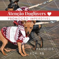 Que tal aproveitar essa promoção especial e dar um pouquinho de alegria ao seu dog 🐶? Aproveite, essa promoção é por tempo limitado! #pet #ahazou #dog #doglovers #Dogwalker
