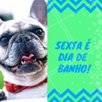 Sexta-feira chegou?! Hora de se preparar pro final de semana! Agende seu horário com a gente 😸 #petshop #ahazoupet