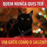 Quem nunca quis ter um gatinho de estimação como o Salém de as aventuras de Sabrina Aprendiz de Feiticeira?
😂 Eu já!
#salem #gatosalem #cat #sabrina #witch #omundosombriodesabrina #netflix #nostalgia #ahazou #quots #salemquots #meme #funny #catlovers #blackcat