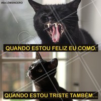 Salém me representa! hahaha
E vocês? 😸😸
#salem #gatosalem #cat #blackcat #omundosombriodesabrina #ahazou #witch #gatopreto #funny #hungry #alwayshungry #catlovers #risadaria #netflix