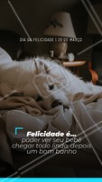 Felicidade que fala, né? Ah, ver a alegria no olhar dos nossos pets é a coisa mais gostosa e feliz que existe.🤗🌟
#pet #diadafelicidade #demarco #20 #ahazou #petlovers #dog #cat