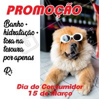 Aproveite o Dia Mundial do Consumidor e traga seu pet para se cuidar!🐶🐱
#pet #banho #tosa #ahazou #diadoconsumidor #promocao