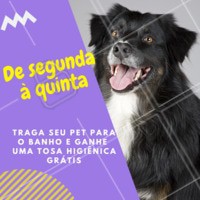 Aproveite nossa promoção! Você não vai querer largar o seu pet de tão cheiroso que ele vai voltar 😍 #petshop #ahazoupetshop