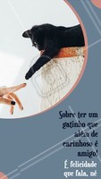 Podem me chamar que louco mas que um itimalia alegra o nosso dia a dia e nos faz viver com a beleza que existe na vida, isso é mais do que verdade, isso é felicidade! 🌟🐶🐱
#pet #diadafelicidade #demarco #20 #ahazou #petlovers #dog #cat