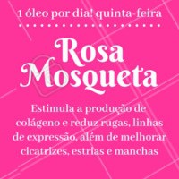 Um dos óleos mais poderosos para a pele, esse é daqueles que você nunca pode ficar sem!
#ahazoubeleza #ahazou #tratamento