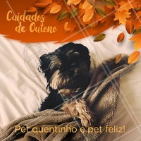É importante deixar os cães e gatos sempre bem aquecidos, pois apesar de possuírem pelos, muitas vezes ainda podem sentir frio. Você pode deixar cobertores e mantas nos locais onde eles dormem e, se tiverem costume, podem usar roupinha! #pet #outono #ahazoupet #cuidados #petlover