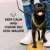 Sem tempo pra andar com seu amigo? Pode me chamar! 🐶 #dogwalker #ahazoupet #cachorro