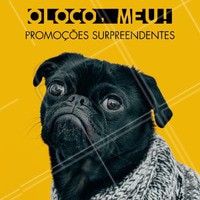 Não vai perder nossas promos né? 😱 Se vira nos trinta e aproveite! #pet #ahazoupet #promoçao #petshop #veterinario #animais