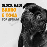 Não vai perder essa promo né? 😱 Se vira nos trinta e traga seu pet pra um banho e tosa! #banhoetosa #ahazoupet #promoçao #petshop