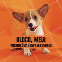 Não vai perder nossas promos né? 😱 Se vira nos trinta e aproveite! #pet #ahazoupet #promoçao #petshop #veterinario #animais