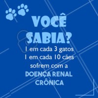 Principais sintomas da Insuficiência Renal em animais:
Sede excessiva.
Xixi ausente ou muito frequente.
Vômito.
Diarreia.
Mau hálito.
Andar cambaleante.
Depressão.
Febre.
Fique sempre atento à saúde do seu pet e ao notar qualquer comportamento diferente consulte um veterinário!
#veterinario #ahazoupet #pet