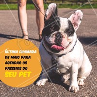Ainda dá tempo de cuidar da saúde do seu pet em Maio! Já agendou os passeios? #dogwalker #ahazoupet #maio