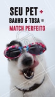 Esse match é sempre um sucesso! 🔥 #matchperfeito #ahazoupet #banhoetosa #petshop