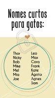 Que tal essas dicas? Marca aqui nos comentários alguém que acabou de pegar um gatinho 💕 #gato #ahazoupet #gatos #pet
