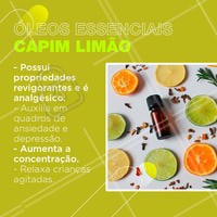 Você sabia que o óleo de capim limão tem todos esses benefícios?
#oleosessenciais #oleodecapimlimao #ahazou #bemestar