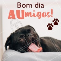 Bommm dia 🐶 #bomdia #ahazoupet #pets