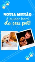 Nada é mais importante para nós do que o bem-estar do seu bichinho. 💕 #pet #ahazoupet