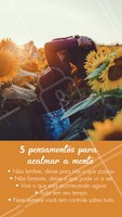 Mantenha estes pensamentos em mente e viva uma vida mais leve.✨ #positividade #ahazou #pensamento