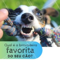 Conta pra gente! 👇👇 #enquete #ahazou #cachorro #pet