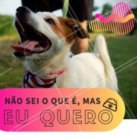 O pet de vocês também é assim? 😂😂🤦♀❤ #pet #ahazou #engraçado