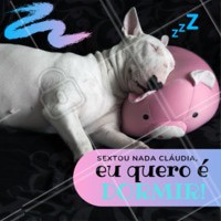 SEXTOUU e nós também só queremos saber de cama! 😂😂😴 E vocês? #sextou #pet #ahazou #engraçado