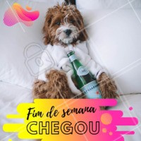UHUUL GALERA!! 🤩🎉🤙 É fim de semana! Então conta pra gente: quais serão os seus embalos para sábado a noite? #fimdesemana #ahazou #pet