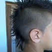 Moicano 
