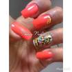 Nail art manual.
Casal de passarinhos na gaiola.
#unhas decoradas #unhas artistica 
