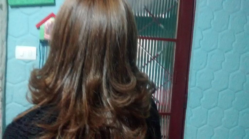 Coloração e corte. cabeleireiro(a)
