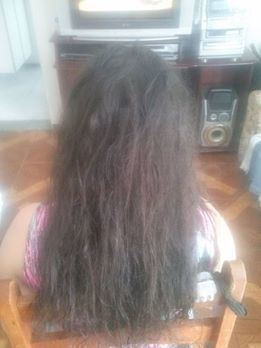 parte 1 cabelo lavado e seco para aplicar a progressiva  auxiliar cabeleireiro(a)