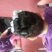 Daminha