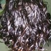 Tratamento d untoterapia para cabelo cacheado
