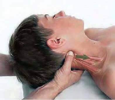 massoterapeuta