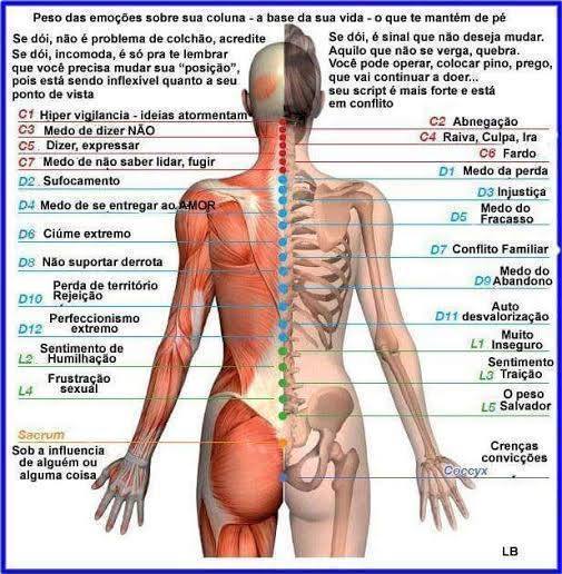 massoterapeuta