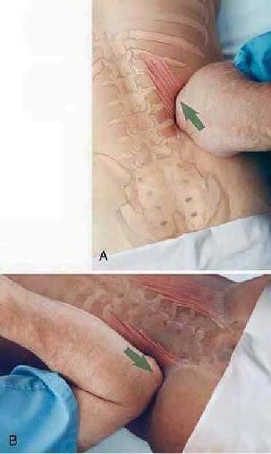 massoterapeuta