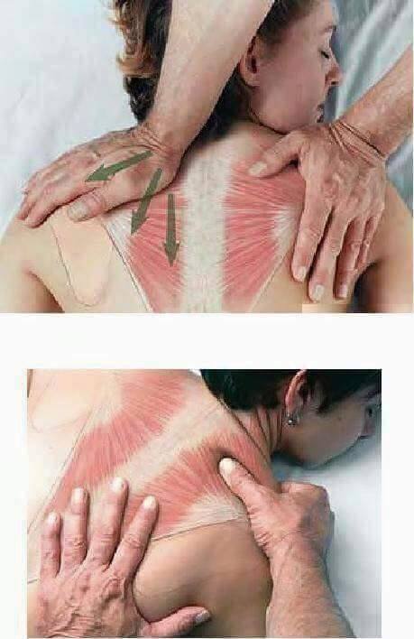 massoterapeuta