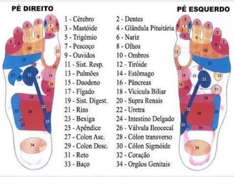 massoterapeuta