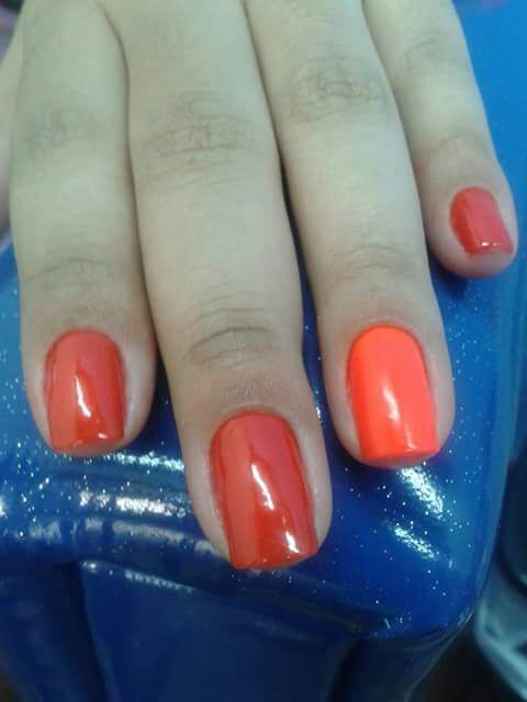 unha manicure e pedicure depilador(a) designer de sobrancelhas