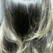 Californiana