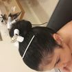 Penteado