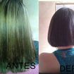 Corte e coloraçao
